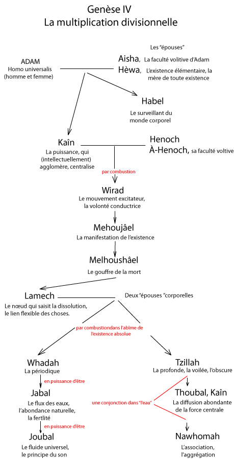 Les générations d'Adam