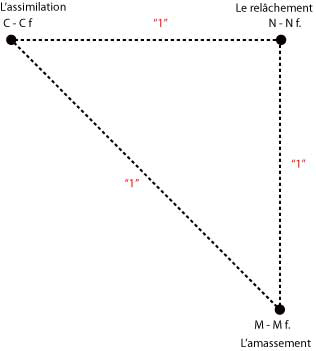 Equidistance des champs génésiaques