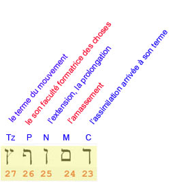 Lettres finales hébraïques et sens accordé